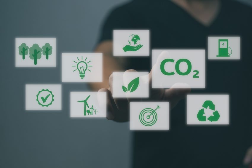 Varias personas plantando árboles como símbolo de la reducción de la huella de carbono de una empresa.