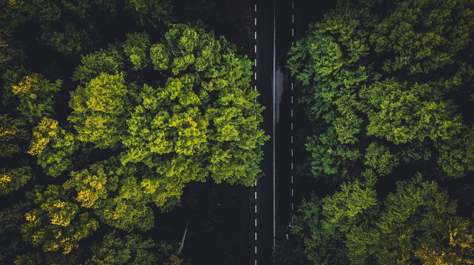 Diagrama de un mapa mundial con rutas logísticas y símbolos de sostenibilidad como hojas verdes y un camión eléctrico,