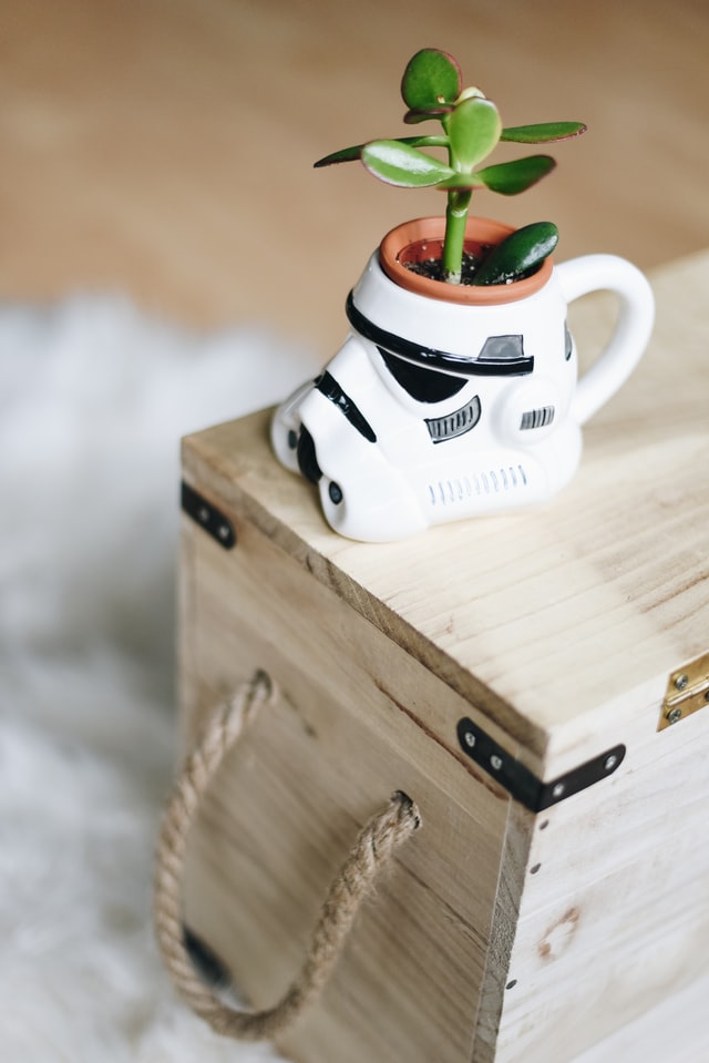 Organisationsboxen aus Holz