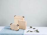 Cajas con tapa Sincla-box 